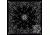 Zan Headgear Bandanna, Cotton, Black Paisley B001