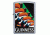Zippo Toucan Guinness Street Chrome Pocket Lighter, 29647