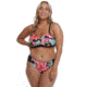 Body Glove Isla Foca Plus Size Drew Fixed Triangle Bikini Top - Black 397B7A44, 1X, Black, 39527128P-368-1X
