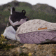 Adidas Terrex IG8896 TERREX FREE HIKER 2, Womens, PRLOFI/AURBLA/SILDAW, 9, IG8896-9