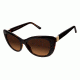 Ann Taylor ATP905 Bifocal Prescription Sunglasses TYATP90501 - Frame Color Black/Tort