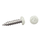AP Products 012-PSQ50 8 x 1 Pan Head Square Recess Screw, 1, White, Pack of 50, 012-PSQ50 W 8 X 1