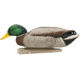Avian X Top Flight Duck Decoy, Back Water Mallard, 6 pk, AVX-AVX8070