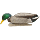 Avian X Top Flight Duck Decoy, Back Water Mallard, 6 pk, AVX-AVX8070