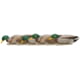 Avian X Top Flight Duck Decoy, Back Water Mallard, 6 pk, AVX-AVX8070