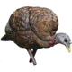 Avian X Turkey Decoy, Feeder, AVX-AVX8007