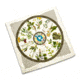 Battlbox.Com Wazoo Survival Gear Forager Bandana with Pictures and Facts 12 Plants &amp; Fungus, BAN-FG-SG