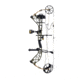 Bear Archery The Hunting Public Adapt 2 RTH Package BEA2217