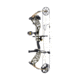 Bear Archery The Hunting Public Adapt 2 RTH Package BEA2217