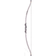 Bear Archery Firebird Youth Bow / Bow Only / Right or Left Handed, Gray, AYB6601