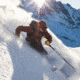 Black Diamond Impulse Pro 114 Ti Skis, NO COLOR, 191 cm, BD11514600001911