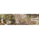Bohning Arrow Wraps 4 in, Standard, 13 Pk, Kryptek Highlander, 501001KH