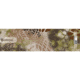 Bohning Arrow Wraps 7 in, Standard, 13 Pk, Kryptek Highlander, 501041KH
