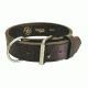 CANINE COLLAR AGITATION2 22