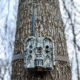 Bushnell CelluCore 30mp AT&amp;T No Glow Treebark Trail Cam, Camo, Box, 119902A