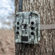 Bushnell CelluCore 30mp AT&amp;T No Glow Treebark Trail Cam, Camo, Box, 119902A