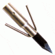 Cajun Bowfishing Piranha Point, Silver ABF4600