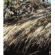 Camo Unlimited Camosystems Speed Reed, Cattail - SR001