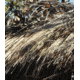 Camo Unlimited Camosystems Speed Reed, Cattail - SR002