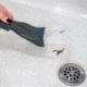 Carson Optical Humane Bug Catcher Tool for Insect Catch-and-Release w/ 5x Magnifier, Gray, 2.2 in x 1.6 in x 10.5 in, HU-30