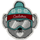 Coalatree CT Ski Sticker, COT001R-ONECOL-ONESIZ