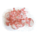 Ear Mold-SL-10 Pack
