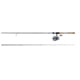 Daiwa Legalis LT Spinning Reel and Rod Combo, 6ft6, Medium, 2 Pieces, 5BB + 1RB, LEGLT25G662M