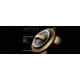 Daiwa Saltiga 20000 Spinning Reel, 5.8-1, 12+1, SALTIGAG20000H
