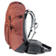 Deuter Trail Pro 34 SL Pack - Womens, Redwood-Graphite, 34L, 344122154290