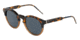 Dolce&amp;Gabbana DG4329 Sunglasses 3168R5-50 - Blue Havana/transp Brown Frame, Blue Lenses