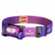 Fenix Lighting HM65R-T V2.0 Lithium Ion 1600 Lumens Luminus SST40 LED, Luminus SST20 LED Headlamp, Nebula, HM65RTV2NE