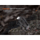 Fenix Lighting HP35R SAR Lithium Ion 4000 Lumens XHP70 LED, Luminus SST20 LED Headlamp, Black, HP35RXSR