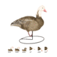 Final Approach Last Pass HD Blue Goose,Full Body Field Outfitters 6 Pack 474199