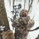 First Lite Thermic Insulated Jacket - Mens