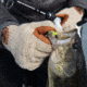 Fish Monkey Wooly Long Glove, Wool Tan, S/M, FM32-WHL-S/M