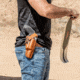 Galco Dao Owb Belt Holster, Taurus Raging Hunter, Right Hand, Tan, DAO354