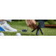 Garmin Approach R10 Poratble Golf Launch Monitor, IPX7, 3.5 x 2.8 x 1 in, Black, 010-02356-00