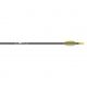 Gold Tip Fiberglass Arrows, Black 6 pk., FIBA256