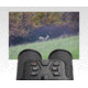 Guide USA DN Series DN30 1.9-15.2x30mm Night Vision Binocular, 3840x2160, Black, DN30