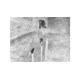 Guide USA TN series LRF TN430 2.3-9.2x30mm Thermal Binocular, 400x300, Black, TN430LRF