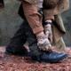 Hazard 4 Mandogator Boot Gaitors, 1 Pair - Mens, Black, Extra Large, APR-MGT-BLK-XL