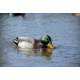 Higdon Outdoors 52053 XS Battleship Swimmer Mallard Drake Green/Brown Rechargeable