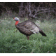 Higdon Outdoors Hard Body 1/4 Strut Jake Turkey Decoy, 63144