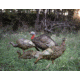 Higdon Outdoors Hard Body 1/4 Strut Jake Turkey Decoy, 63144