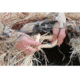 Higdon Outdoors MOmarsh Invisi-Grass Original 1.25lb Hunting Grass, Natural, 31323