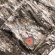Huntworth Matterhorn Heat Boost Heavyweight Waterproof Lined Hunting Bib Overalls - Mens, Tarnen, 2XL, E-9541-TRN-2XL