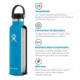 Hydro Flask 24 oz Standard Mouth Bottle w/Flex Cap, Snapper, S24SX604