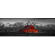 iCanvas Barn Grand Teton National Park WY USA Color Pop by Panoramic Images Canvas Print, Multi, 36x12 ICA1181-1PC3-36x12