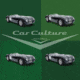 iCanvas 'British Victory At Le Mans' - Jaguar C-Type Race Car by Car Culture Canvas Print, Multi, 18x18 CCU31-1PC3-18x18