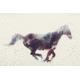 iCanvas Horse I by Andreas Lie Canvas Print, Multi, 18x12 ALE6-1PC3-18x12